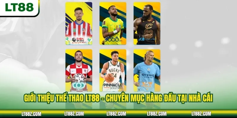Giới thiệu thể thao LT88 - Chuyên mục hàng đầu tại nhà cái