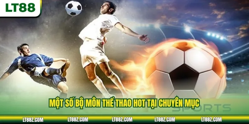 Một số bộ môn thể thao hot tại chuyên mục