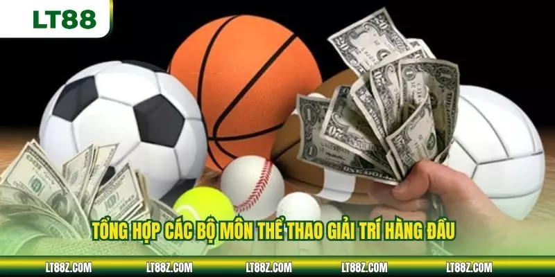 Tổng hợp các bộ môn thể thao giải trí hàng đầu