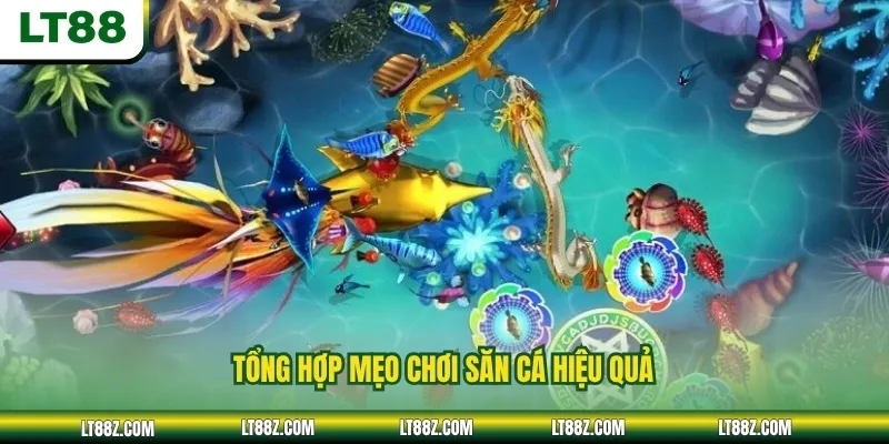Tổng hợp mẹo chơi săn cá hiệu quả